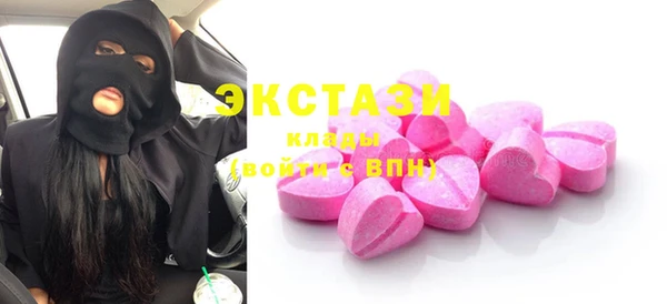 спиды Ельня