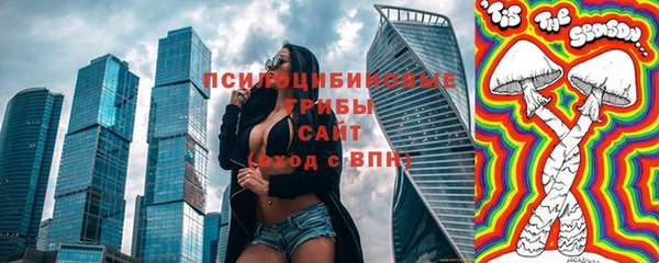 первитин Дмитриев