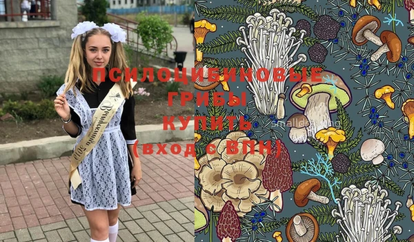 эйфоретик Дмитровск