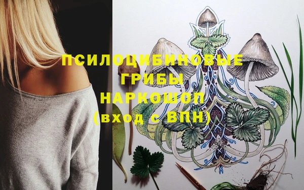 дурь Дмитров