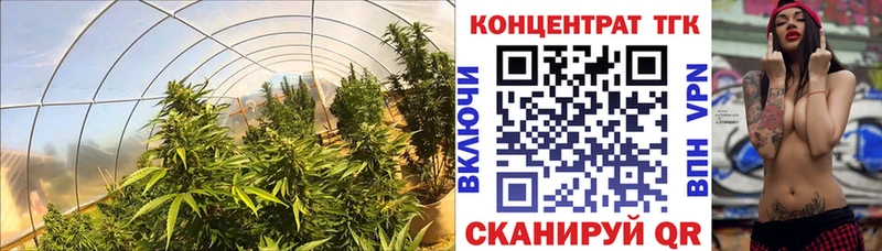 ТГК концентрат  Зверево 